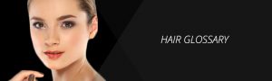 Hair Glossary