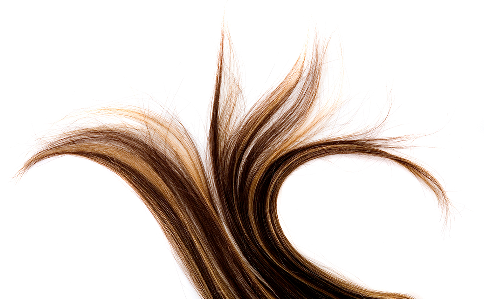 Long brown hair style on white isolated background